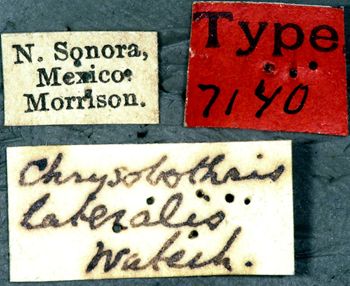 Media type: image;   Entomology 7140 Aspect: labels